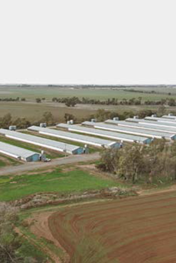 Tratamiento de agua para granjas de pollos, Australia