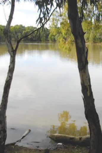 Recolección de aguas pluviales para reutilización, Australia